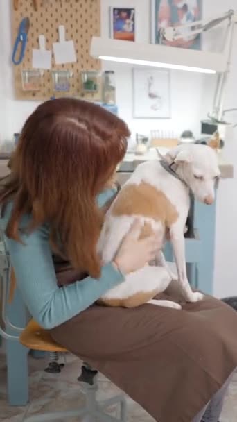 Jungunternehmerin Fertigt Accessoires Für Haustiere Die Ihren Hund Der Werkstatt — Stockvideo