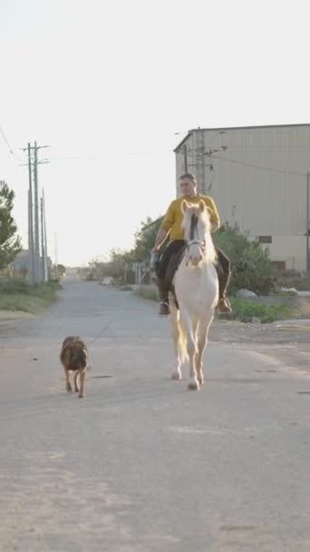 Człowiek Jeździ Konno Wyprowadzając Psa Obok Farmy Kręcone Podczas Złotej — Wideo stockowe