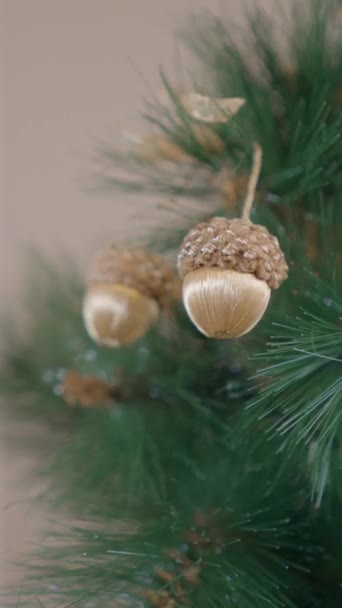Visící Acorn Ornament Christmas Tree Zavřít Svislé Fullhd Video — Stock video