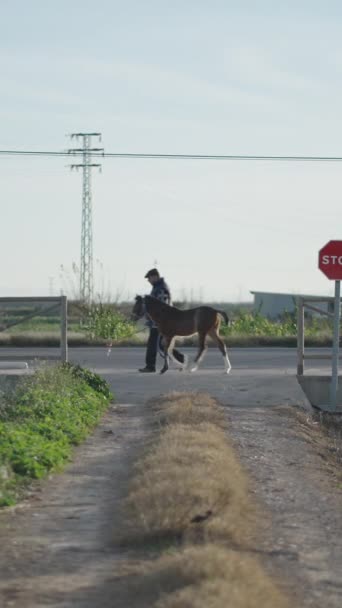 Пожилой Испанский Мужчина Идет Прогулку Остроумие Кольт Сельской Местности Замедленный — стоковое видео