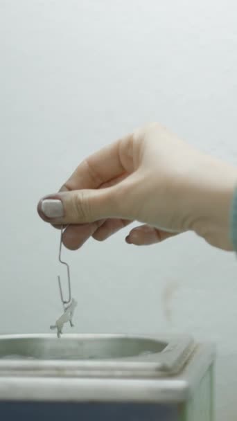 Handcrafted Jewel Pets Holding Jeweller Selective Focus Shot Fullhd Vertical — Stock Video