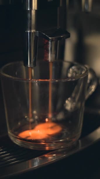 Kahve Makinesinden Fincana Damlayan Taze Demlenmiş Kahve Kapat Dikey — Stok video