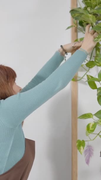 エプロンを着用している女性は プランニングハンギング屋内植物です 中型ショットフルHd垂直ビデオ — ストック動画