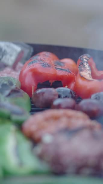 Carne Fresca Las Verduras Cortadas Asan Parrilla Barbacoa Toma Cerca — Vídeo de stock
