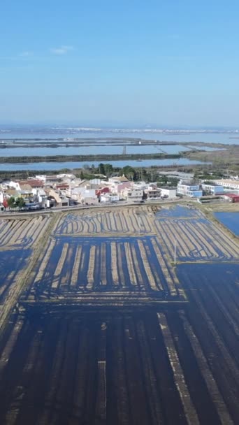 空中无人侦察机拍摄的农田村淹没在蓝天白云的水中 西班牙Albufera自然公园的美丽镜头 Fullhd Vertical Video — 图库视频影像