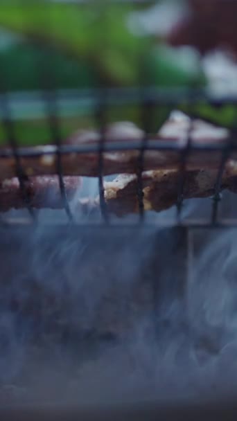 肉や野菜を切ってグリルに表示する ローアングルショット Fullhd垂直ビデオ — ストック動画