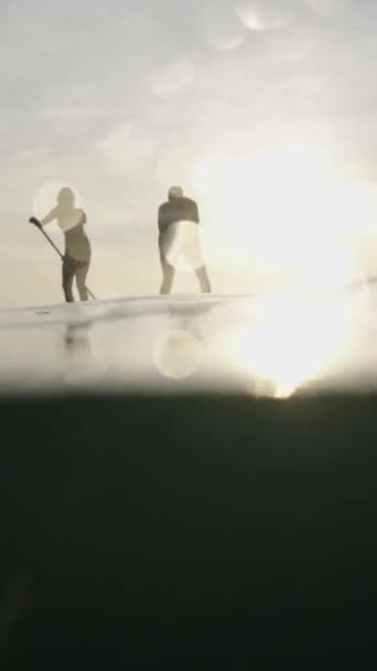 Silhouette Una Coppia Sulle Loro Tavole Surf Pagaia Tramonto Fhd — Video Stock