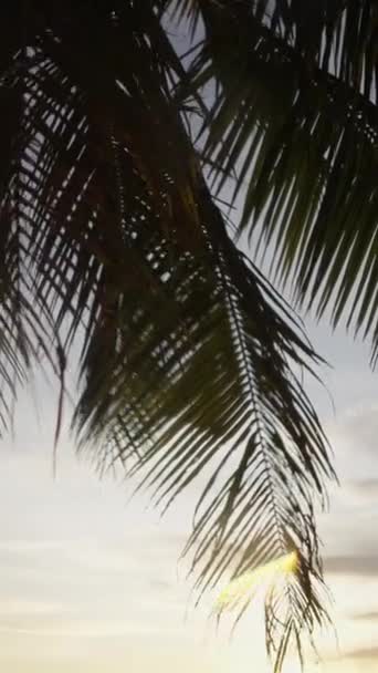 Grup Prieteni Care Distrează Mare Într Plajă Din Thailanda Fhd — Videoclip de stoc