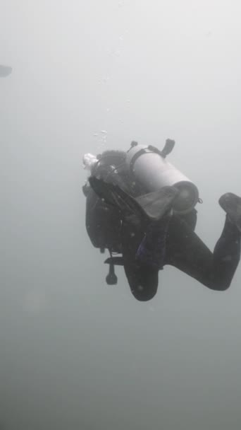 多个成年人在低光天化日下在观塘潜水 Fhd垂直录像 — 图库视频影像