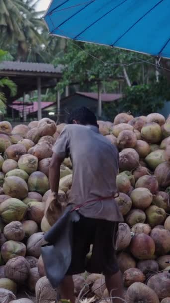 Asiatique Homme Travaillant Sur Les Noix Coco Fullhd Vidéo Verticale — Video