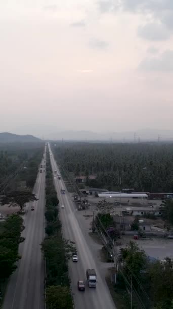 Δάση Φοινίκων Απόσταση Δρόμο Fullhd Vertical Video — Αρχείο Βίντεο