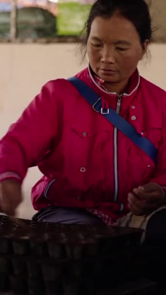Азиатка Розовой Куртке Раздает Семена Палками Fhd Вертикальный Традиционный Образ — стоковое видео