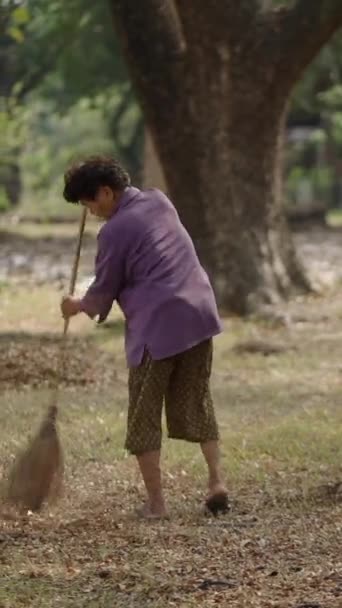 一位亚洲女士在森林里清扫干枯的树叶 Fhd垂直录像 — 图库视频影像