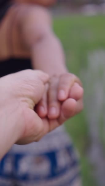 Junges Mädchen Hält Händchen Mit Kameramann Reisfeldern Fhd Vertikales Video — Stockvideo