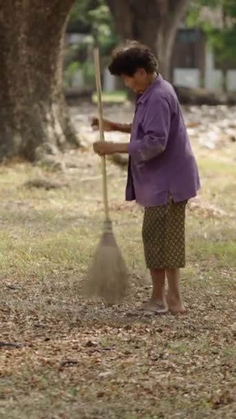 地上的干叶被一个女人扫地出门 Fhd垂直录像 — 图库视频影像