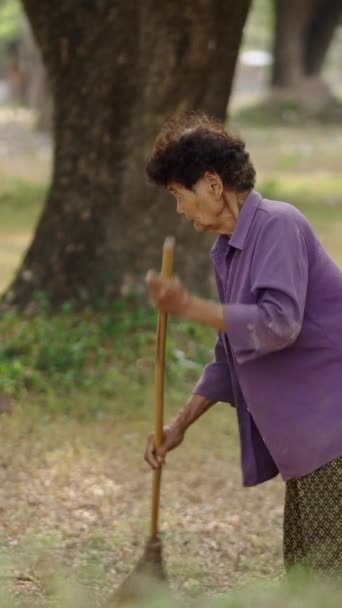 Женщина Подметает Лесной Пол Таиланде Fhd Вертикальное Видео — стоковое видео