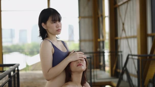 Twee Aantrekkelijke Vrouwen Poseren Voor Een Kunstenaar Artistiek Concept — Stockvideo