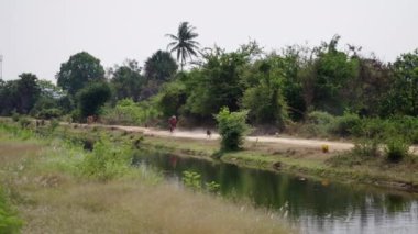 Köpekler onu kovalarken motosiklet hızlanıyor - 4K Yatay video