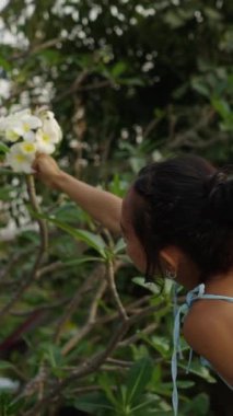 Taylandlı kadın bir çiçek aldı ve kameraya gülümsedi - FHD dikey video