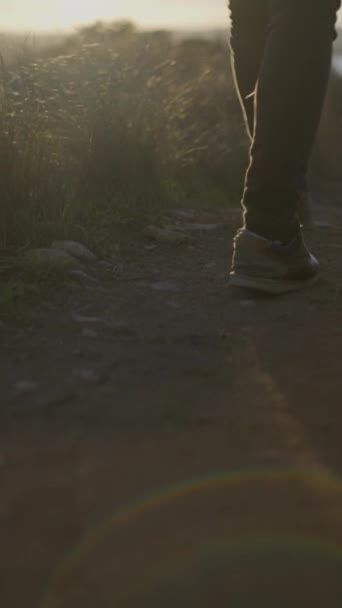 日落时抱着吉他在乡间小径上行走的男人的腿 慢镜头后的慢动作 垂直Fullhd视频 — 图库视频影像