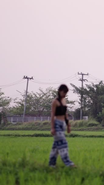 バックグラウンドの家と草原のフィールドを歩く十代の少女 Fhd垂直ビデオ — ストック動画