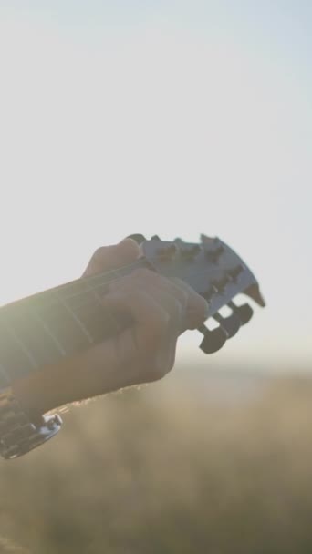 男子吉他手在夕阳西下的草地上弹奏吉他 背光射击 垂直的Fullhd视频 — 图库视频影像