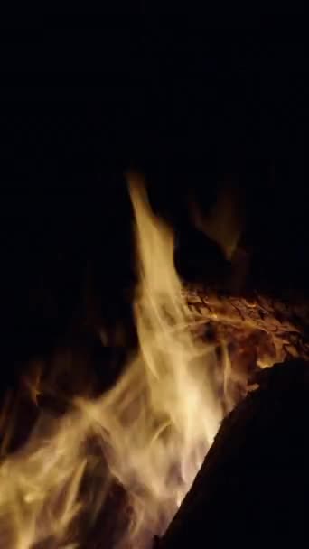 Ein Lagerfeuer Erhellt Die Nacht Thailand Vertikales Fhd Video — Stockvideo