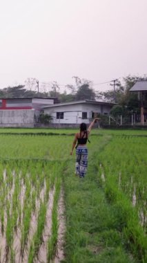 Arka planda evleri olan bir pirinç tarlası ve uzakta yürüyen bir kız FHD dikey video.