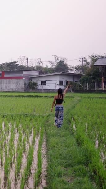 Ein Reisfeld Mit Häusern Hintergrund Und Einem Mädchen Das Der — Stockvideo
