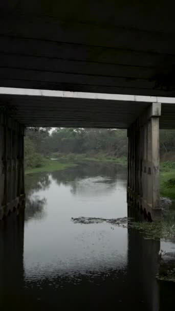 被无人驾驶飞机飞越沼泽下一座桥的镜头 Fhd垂直录像 — 图库视频影像