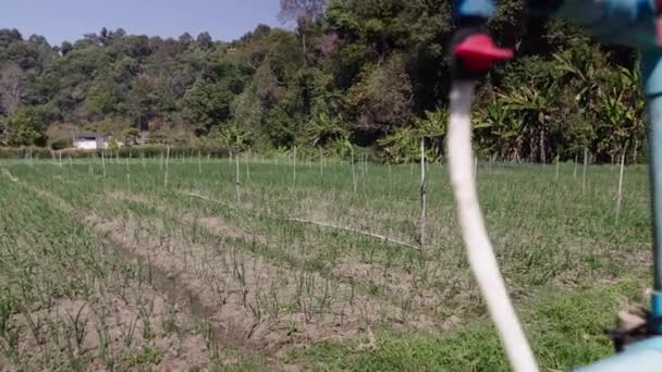 Bewässerungsrohre Auf Einer Grünen Wiese Thailand Horizontaler Traditioneller Lebensstil — Stockvideo