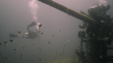 Balıklar arasında tanınmayan dalgıç ve batık bir gemi - 4K Yatay video