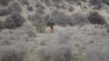Yaban gelinciğiyle yürüyen bir avcının yanında bir köpek - 4K Yatay video