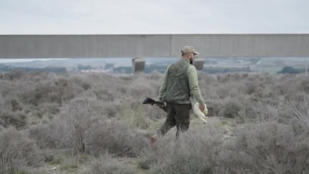 Ein Gedeckelter Jäger Trägt Ein Frettchen Zur Jagd Horizontalvideo — Stockvideo