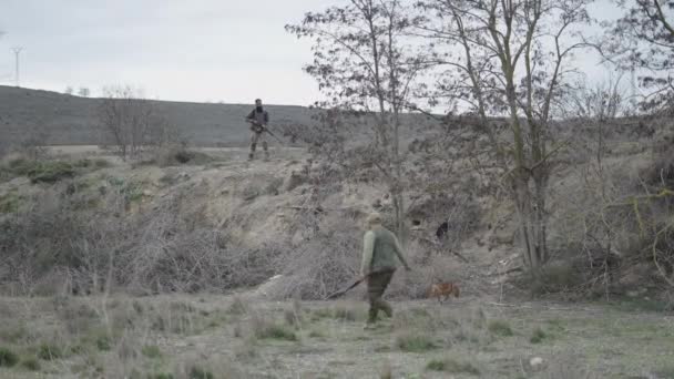 Ein Jäger Fängt Ein Kaninchen Das Der Hund Mitgebracht Hat — Stockvideo