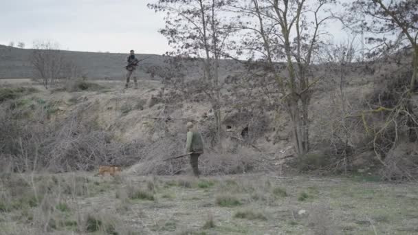 Koira Kävelee Kolossa Kahden Metsästäjän Kanssa Vaaka Video — kuvapankkivideo