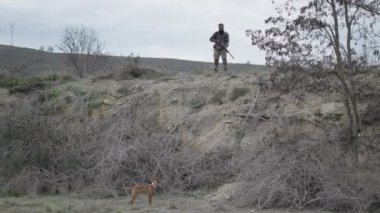 Avcı dikkatliyken bir köpek etrafı gözetliyor - 4K Yatay video