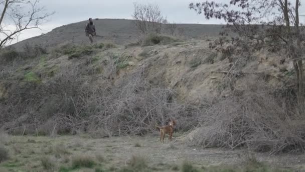 Ein Jäger Geht Einen Hügel Hinauf Und Beobachtet Seinen Hund — Stockvideo