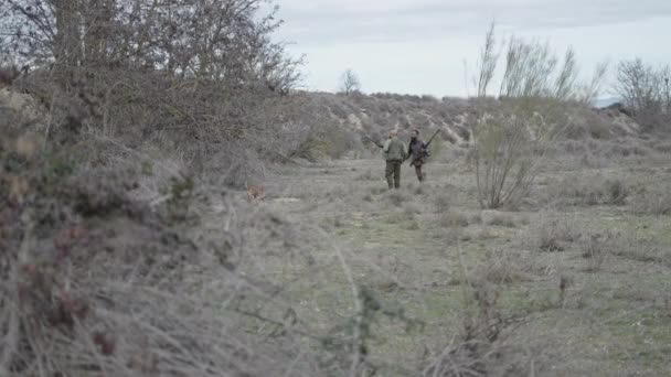 Dva Ozbrojení Lovci Pes Lovecké Oblasti Horizontální Video — Stock video