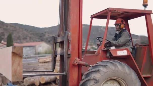 Trabajador Recoge Trozo Madera Coloca Cortador Horizontal Video — Vídeos de Stock