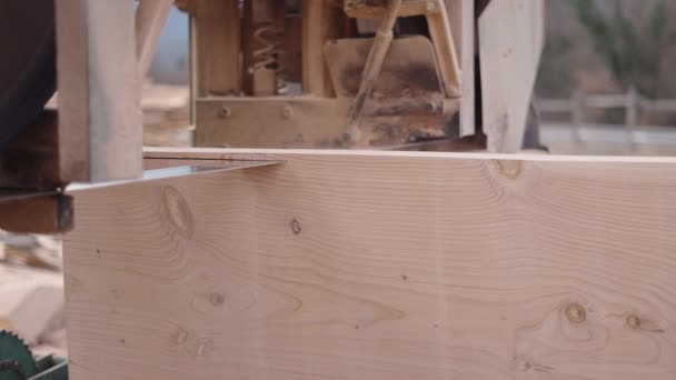 Ein Holzfäller Schneidet Ein Stück Holz Horizontalvideo — Stockvideo