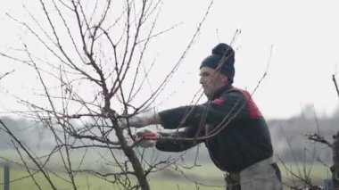 Yetişkin bir bahçıvan bazı dalları keser - 4K Yatay