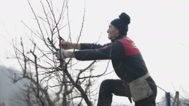 Küçük dallar bahçıvan tarafından kesilir - 4K Yatay
