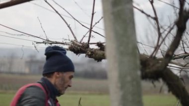 Bir adam tarafından budanan sarmaşık dalları - 4K Yatay