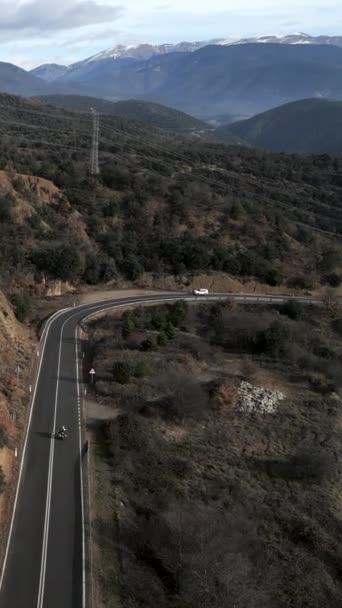 Drone Vista Una Carretera Través Los Árboles Fhd Vídeo Vertical — Vídeo de stock