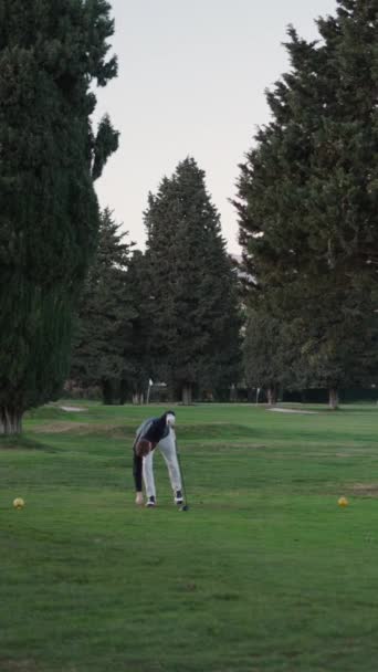 Egy Férfi Felállít Egy Golflabdát Készen Áll Fullhd Függőleges Videó — Stock videók