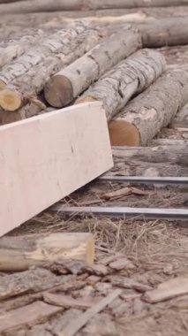 Bir operatör traktör kaldıracı ile bir tahta parçası alır - FHD dikey video