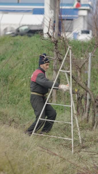 Ein Erwachsener Gärtner Nimmt Anpassungen Einem Baum Vor Fhd Vertical — Stockvideo