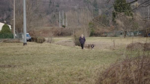 Old Shepherd Approaches His Two Dogs Horizontal Video — Vídeo de Stock