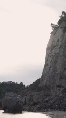 Güzel bir manzaranın kumuna saplanmış bir çubuk - FullHD dikey video